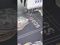 カスタマイズ可能な刺繍のアイロン オン バッグ パッチ洗える PMS 色